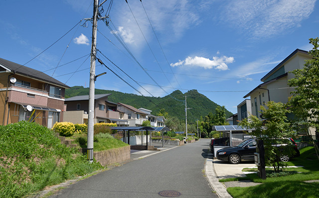 全804区画、平均区画面積約90坪超のゆとりある街区デザイン。