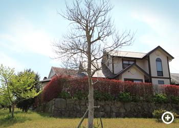 第一街区街並み