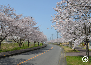 第二街区街並み