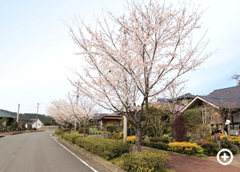 第二街区街並み
