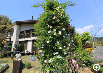 第三街区街並み
